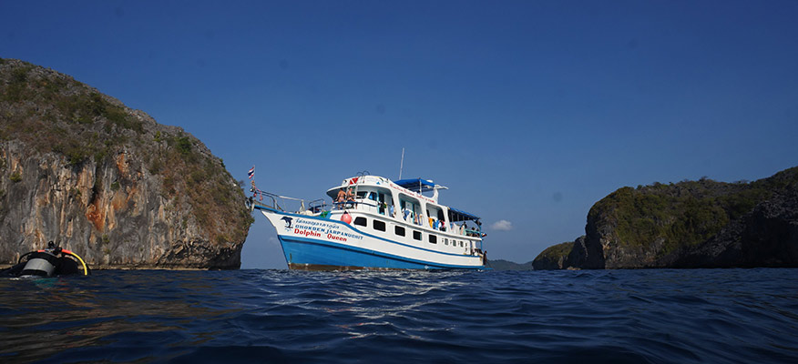 M/V Dolphin Queen