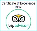 Certificate Tripadvisor