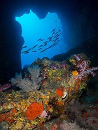 Crayfish cave - Myanmar