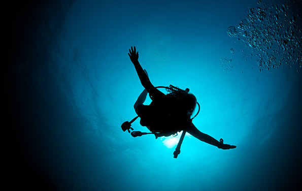 silhoutte diver