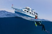 diver & boat